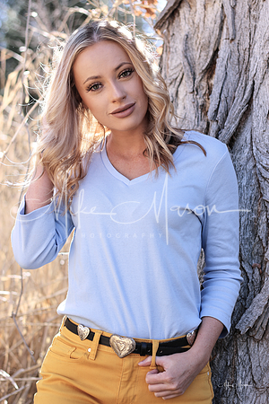 LogoLicious_20191215_004959