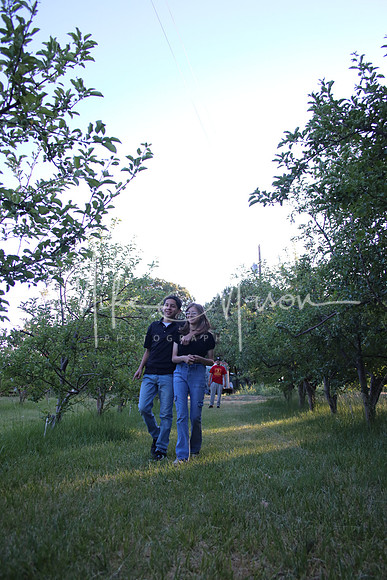 IMG_0375 (2)