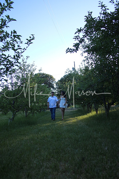 IMG_0293 (2)