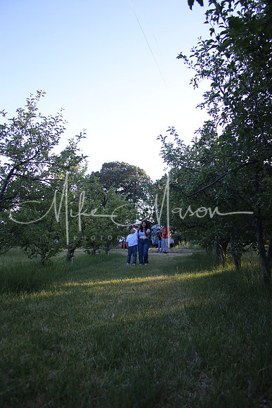 IMG_0331 (2)