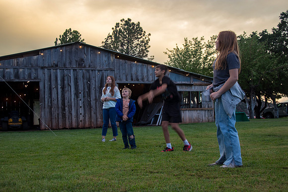 37-IMG_0174