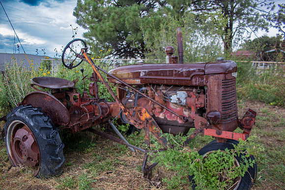 41-IMG_0020