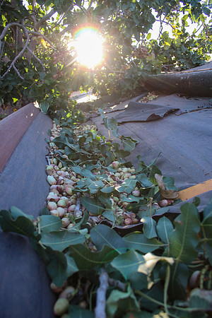 20240925-IMG_2336