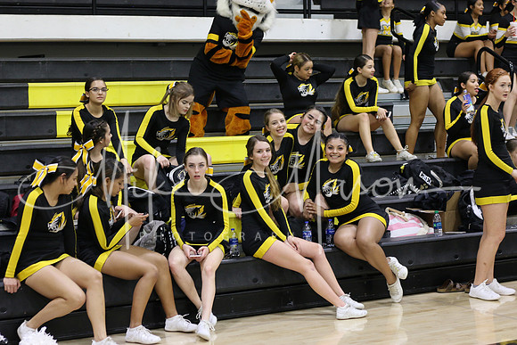 20190319180512_IMG_2836