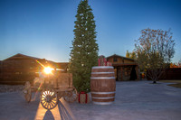 The Tea Shed - Christmas Party 2025