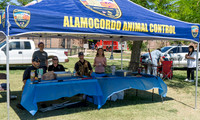 11-DSC04805