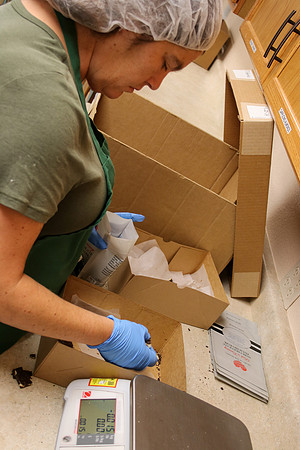 20240925-IMG_2741