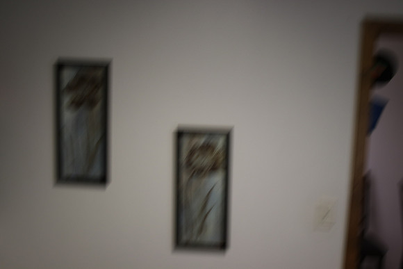 20230209185847_IMG_0209