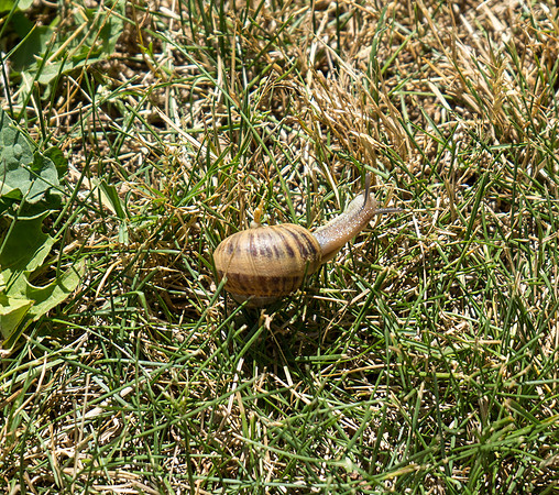 94-DSC05437