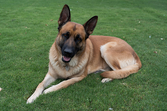 118-DSC07748