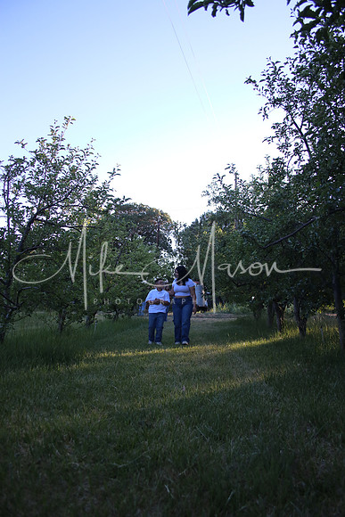 IMG_0344 (2)