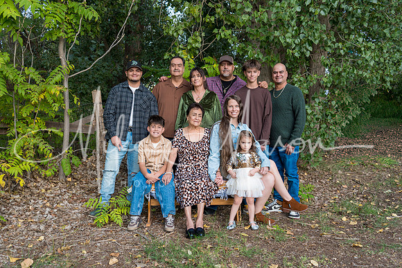 29-DSC08533