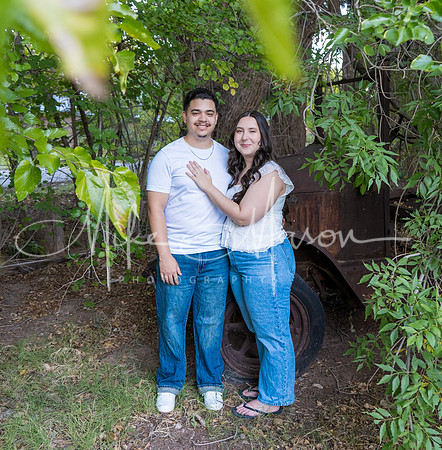 1-DSC08370