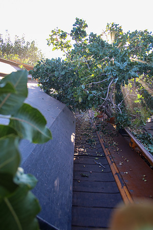 20240925-IMG_2345