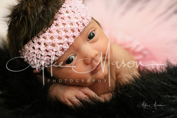 LogoLicious_20190112_190730