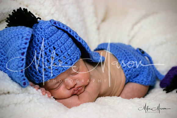 LogoLicious_20190112_212829