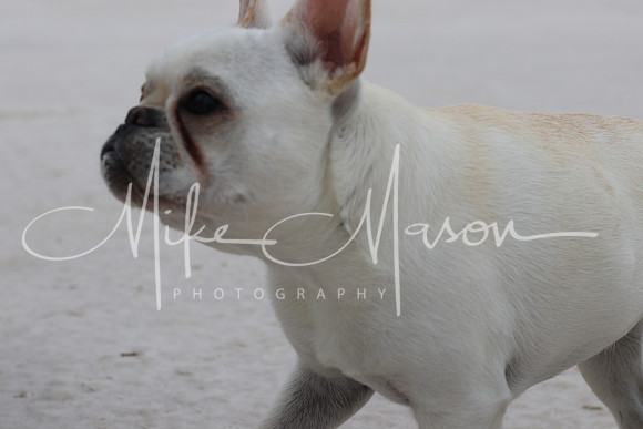 20210429140853_IMG_6988