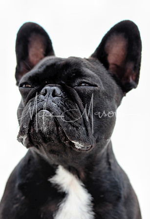 20210429140844_IMG_6987~2