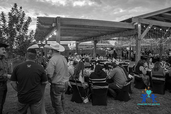 20240817-IMG_1923