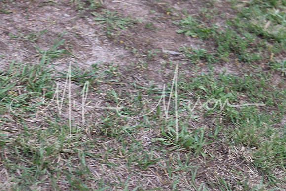 20210822181420_IMG_9938