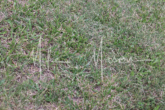20210822181512_IMG_9943
