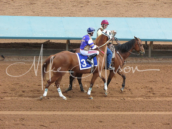 IMG_2900