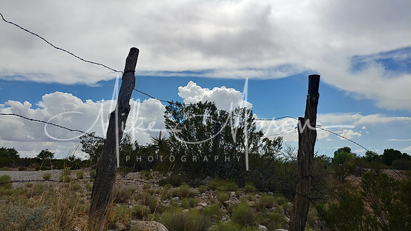 20170722_155853_HDR