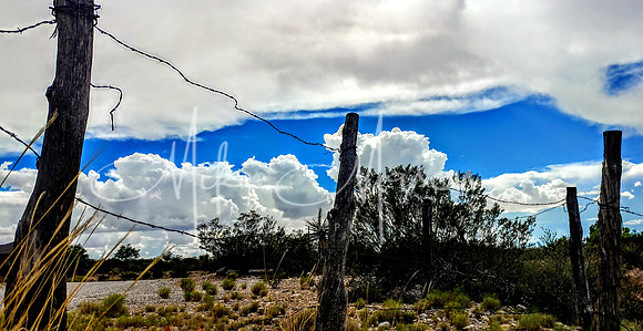 20170722_155902_HDR~2