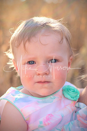 LogoLicious_20190303_181741