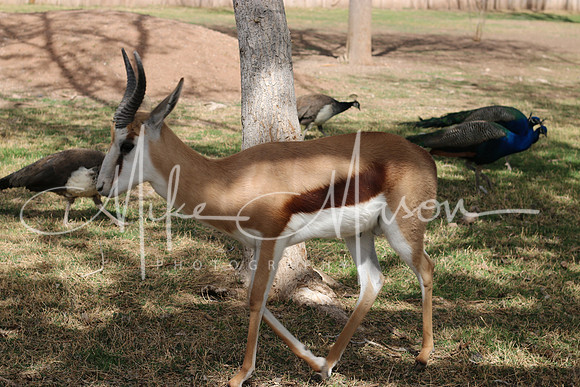 20190325111126_IMG_4175