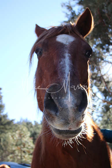 20240127122235_IMG_7752 (1)
