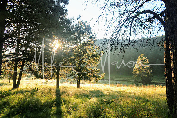 20190928074454_IMG_3724~2