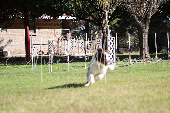 IMG_8819