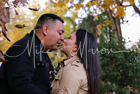 LogoLicious_20191127_130943