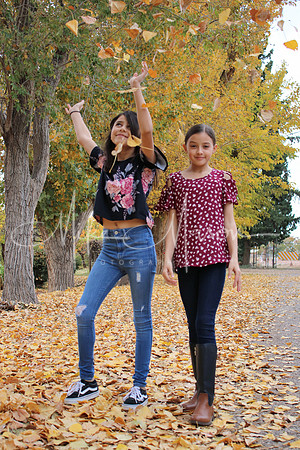 20191110162520_IMG_0334