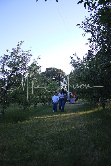 IMG_0332 (2)