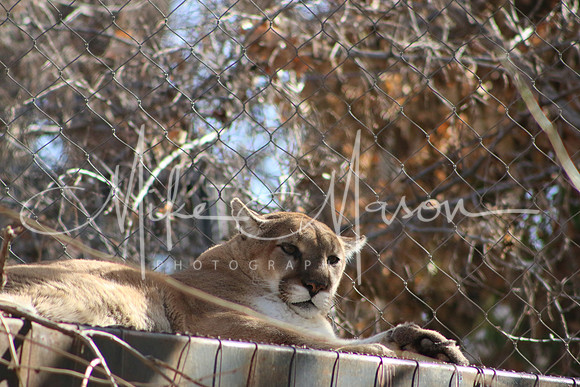 20200306164803_IMG_4279