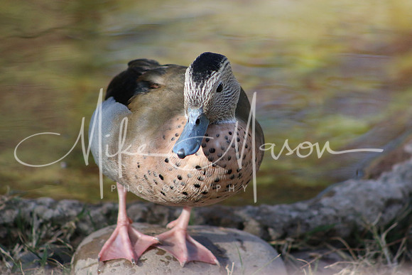 20200306165614_IMG_4350