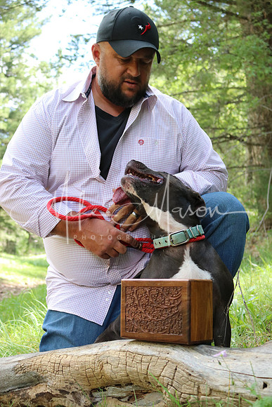 20200815115553_IMG_3751
