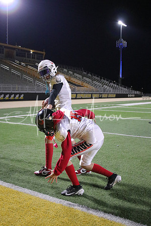 20241203-IMG_3956