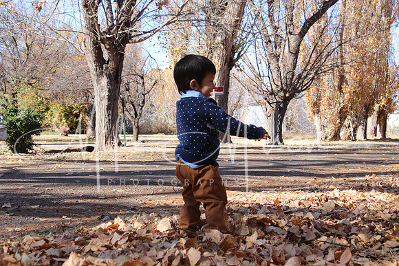 20201212143900_IMG_5720