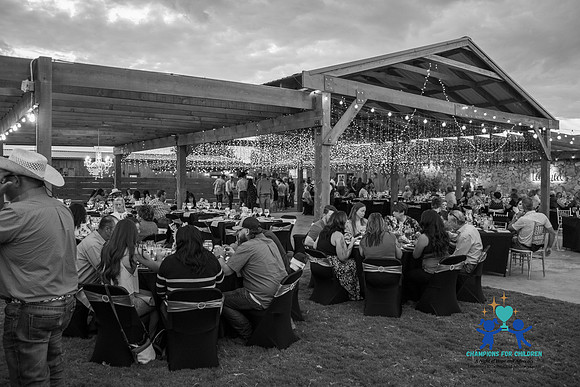 20240817-IMG_1924