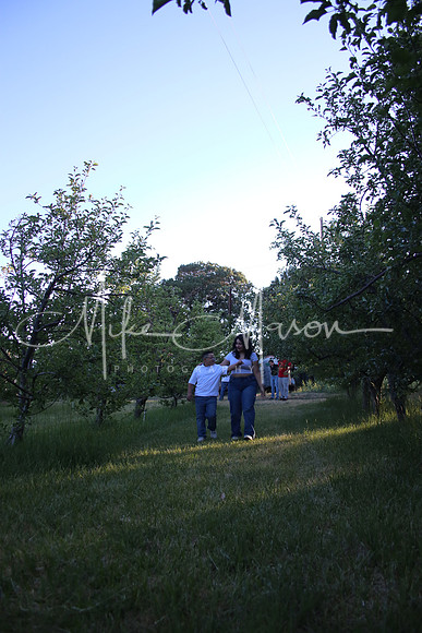 IMG_0334 (2)