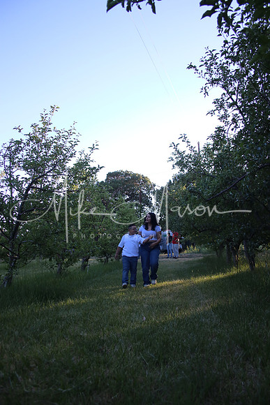 IMG_0335 (2)