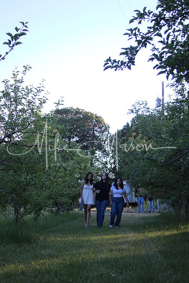IMG_0387 (2)