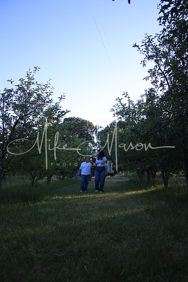 IMG_0343 (2)