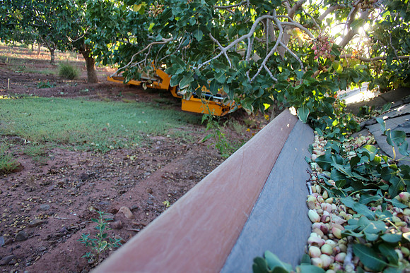 20240925-IMG_2338