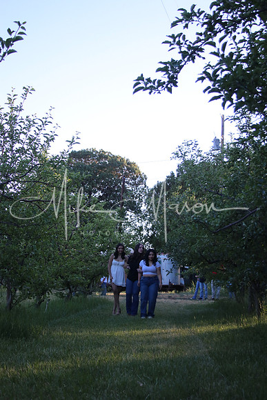 IMG_0386 (2)