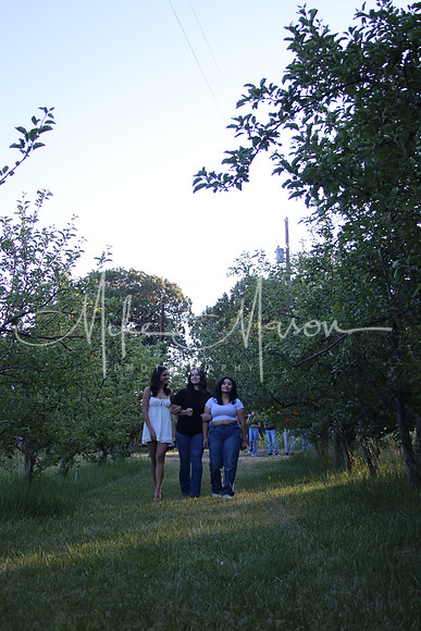 IMG_0393 (2)