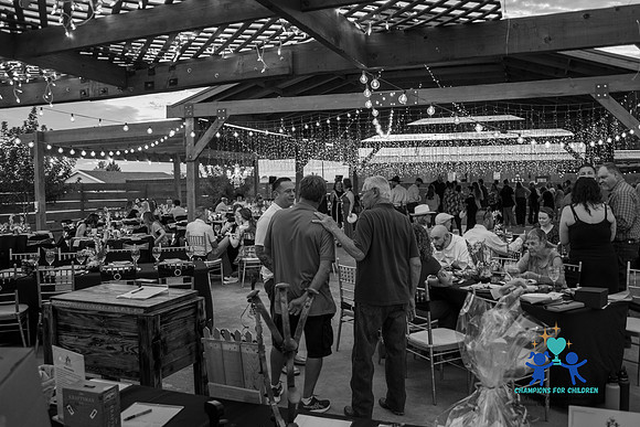 20240817-IMG_1917